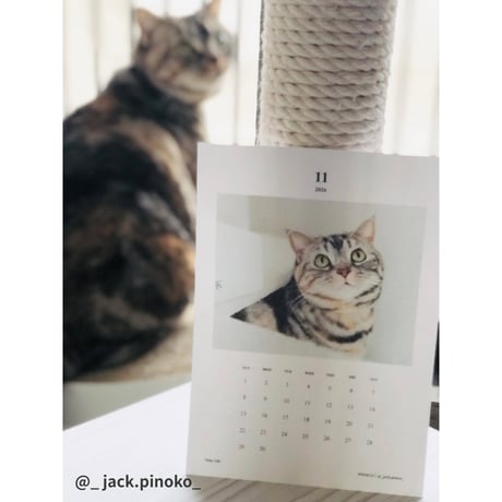 2026 Calendar Monthly