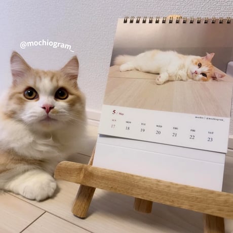 2026 Calendar No.03