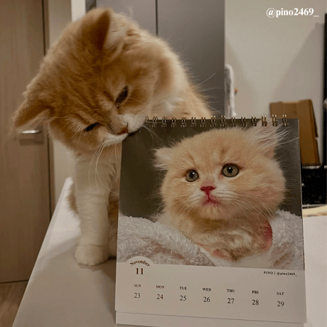 2025 Calendar No.05