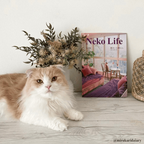 Neko Life Vol.04