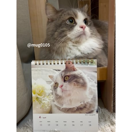 2026 Calendar No.08