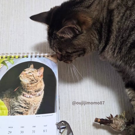 2026 Calendar No.08