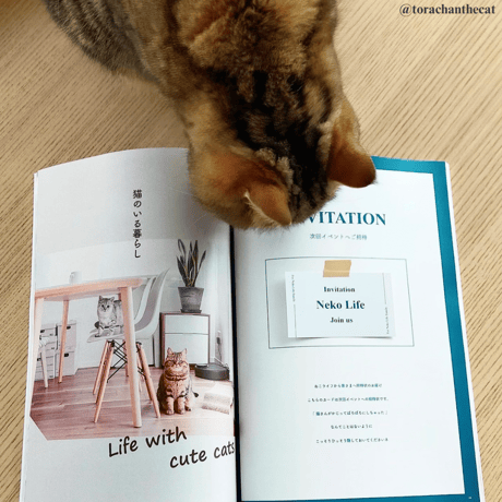 Neko Life Vol.04