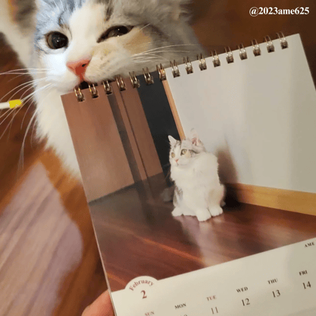 2025 Calendar No.04