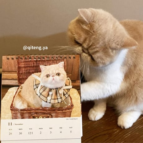 2026 Calendar No.08