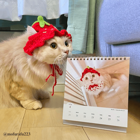 2025 Calendar No.08