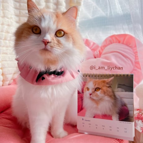 2026 Calendar No.03