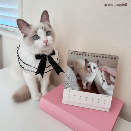 2025 Calendar No.04