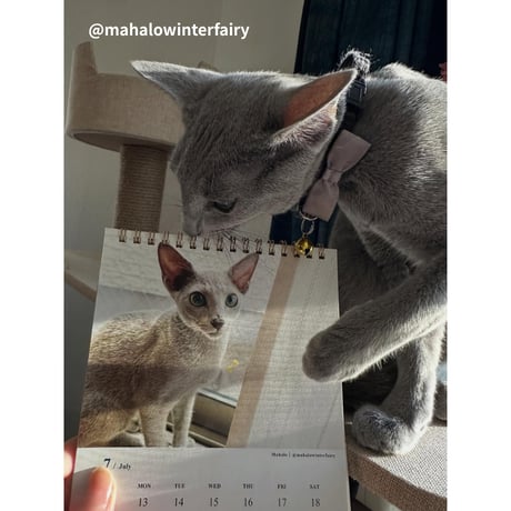 2026 Calendar No.09