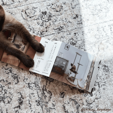 2nd Anniversary Cats Book