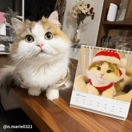 2026 Calendar No.06