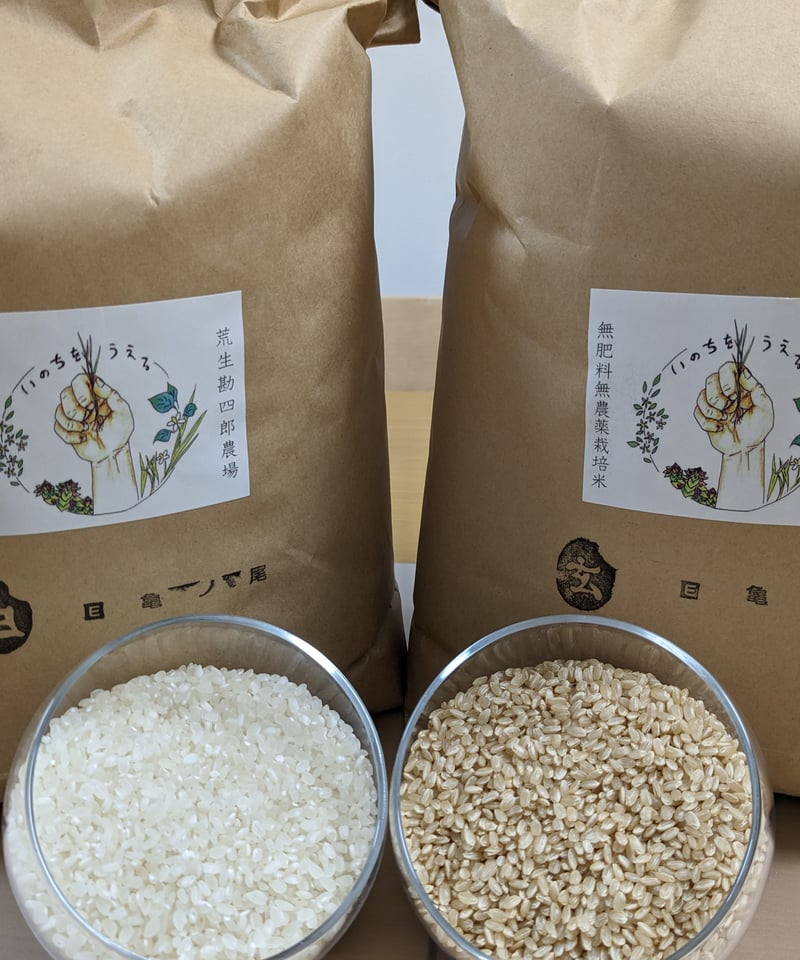 亀の尾・玄米20㌔❣️農薬無し 無農薬・無肥料】イーマ米 亀の尾 | 【イーマ・サウンド】公式