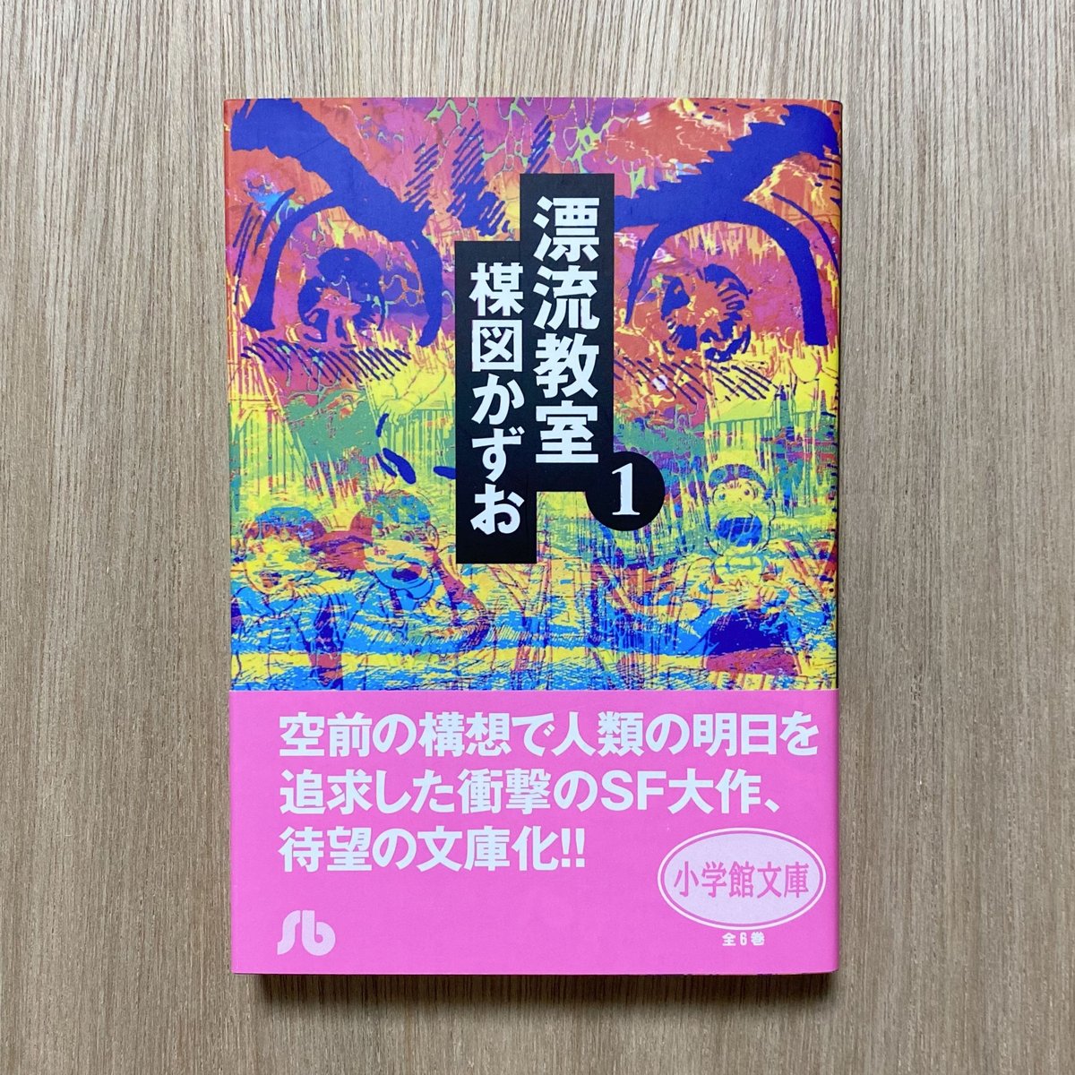 楳図かずお 漂流教室シルクスクリーン『想い出の未来』 クラシック 楳図かずお 漂流教室シルクスクリーン『想い出の未来』 クラシック
