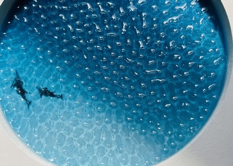 Dolphin art