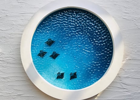 Manta art