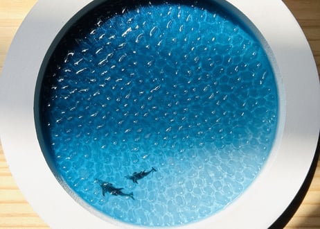 Dolphin art