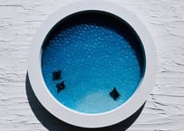 Manta art