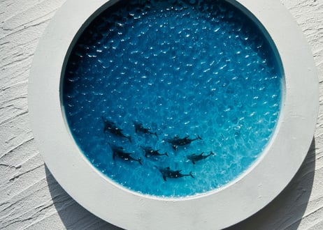 Dolphin art