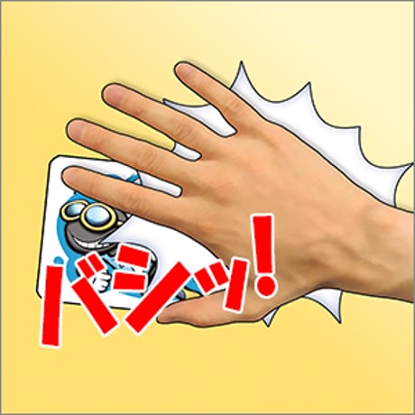 ハエたたき