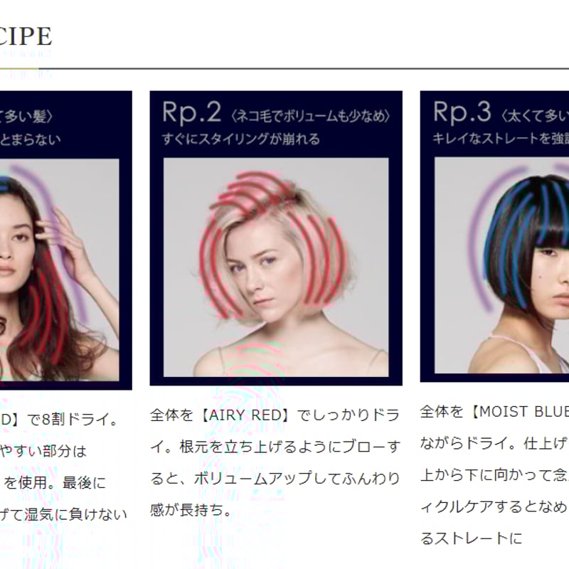 ホリスティックキュア ドライヤー Rp. | GARDEN STORE