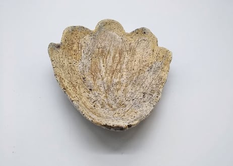 【堀込和佳】水はアルケー・皿8（115-8）