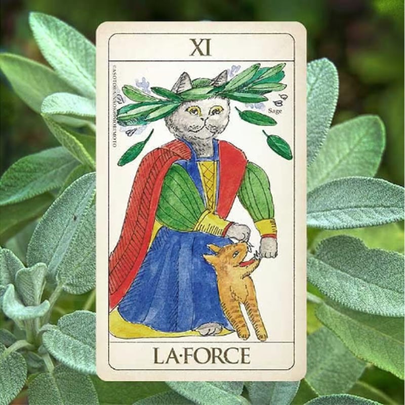 森本ナオコ】CAT AND HERB TAROT（070-3） | ワト舎