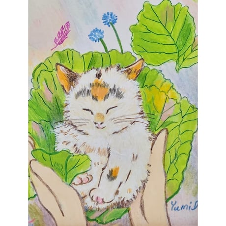 kazuya nakagawaのアクリル画【ネコ】s8号 kazuya nakagawaのアクリル画【ネコ】s8号 絵画
