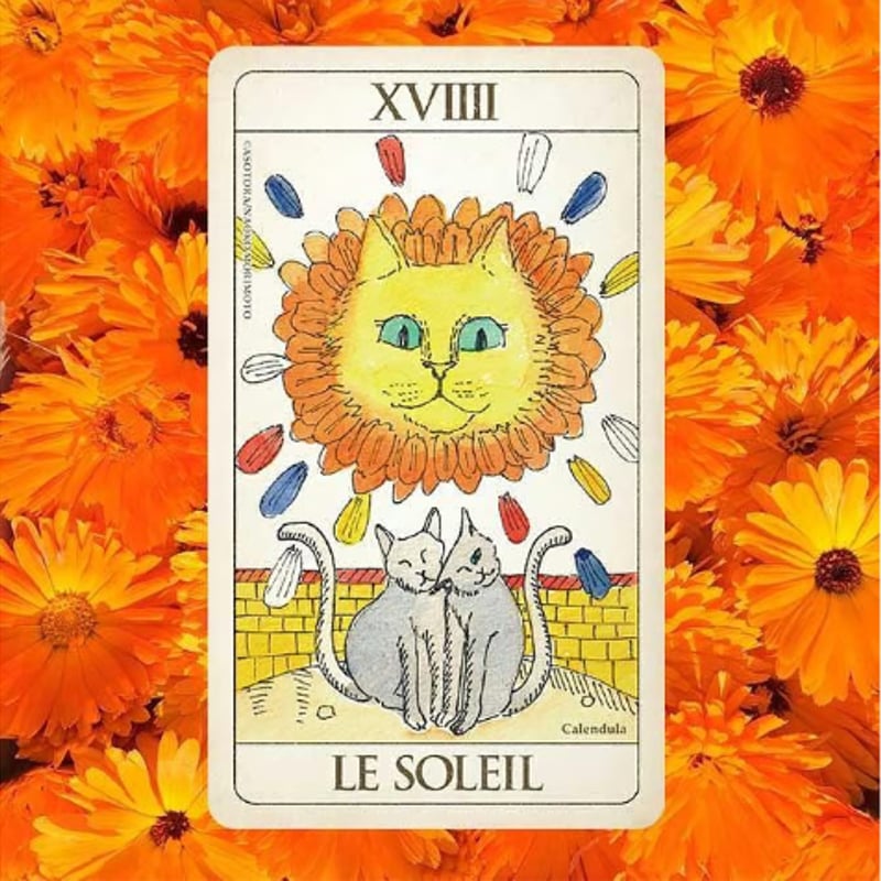 森本ナオコ】CAT AND HERB TAROT（070-3） | ワト舎