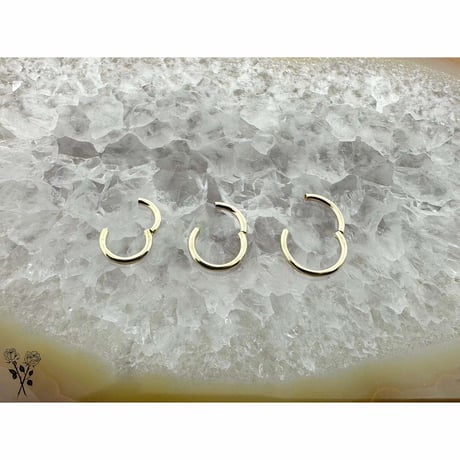 16ga Hinged Ring-14K(YG)