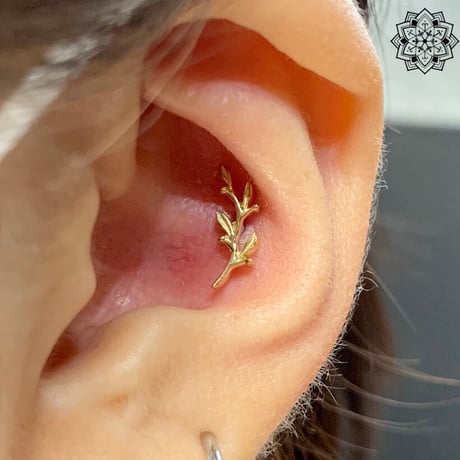 Amity(L)Small-18K&14K