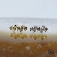 Divina-18K(YG)(WG)/CZ