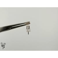 Cat-walk-14K(YG)