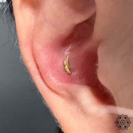Feather(L)6mm-18K