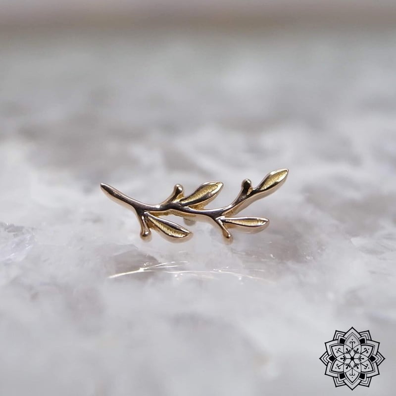 BVLA Amity　14Kイエローゴールド　16Ga 3/8\" (9.5mm) Amity Seam Ring BVLA 14K Gold | Piercings by Tiffany