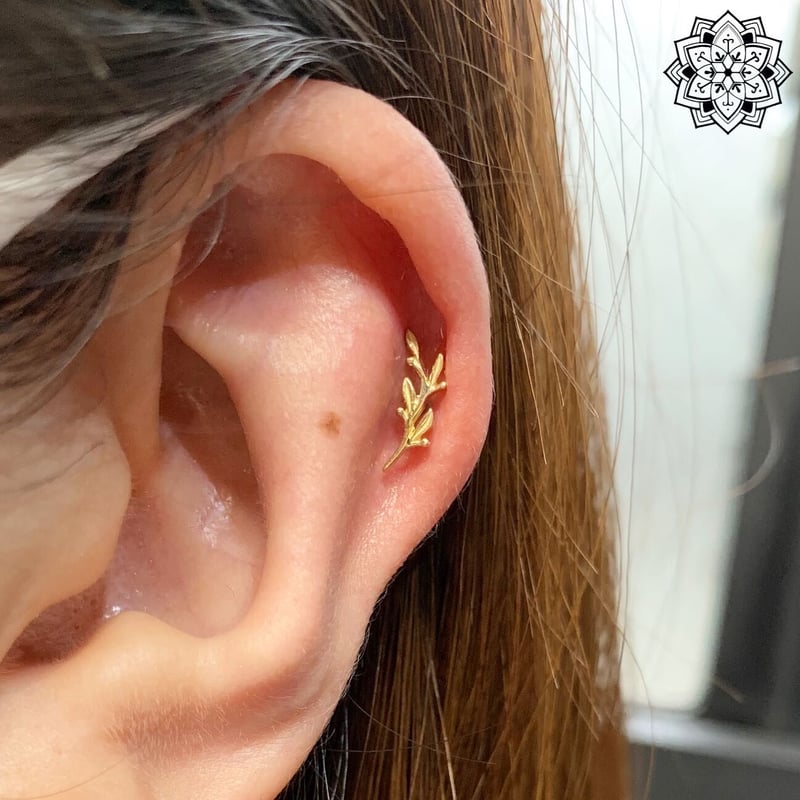 Amity(L)Small-18K | GLASS BODY JEWELRY