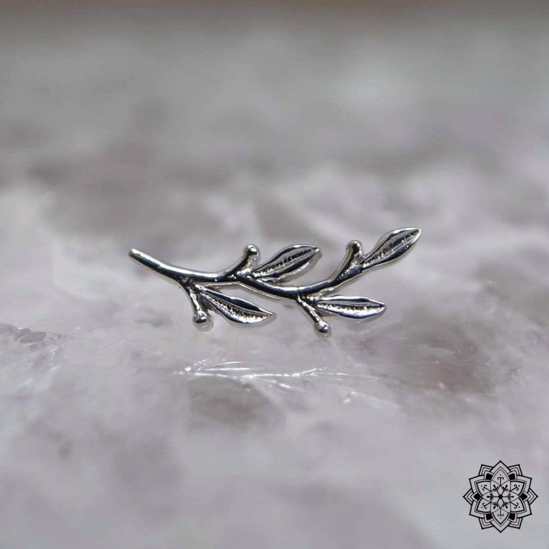 BVLA Amity　14Kイエローゴールド　16Ga 3/8\" (9.5mm) BVLA Amity 14Kイエローゴールド 16Ga 3/8