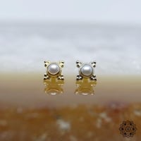 Mini kandy 5mm(2mm bezel)-14K(YG)(WG)18K(RG)/Pearl