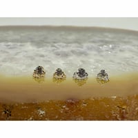 Rianna(2mmGemm)(2.5mmGem)-14K&18K(YG)(WG)/CZ