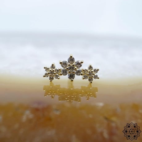 Estrella-18K&14K(YG)(WG)/CZ
