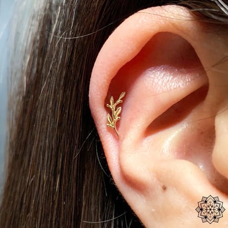 Amity(R)Small-18K