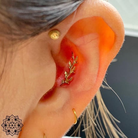 Amity(R)Large-18K(WG)