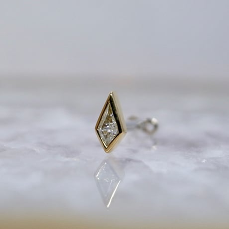 PAN-18K(YG)/CZ