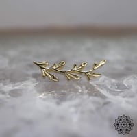 Amity(L)Large-18K(YG)