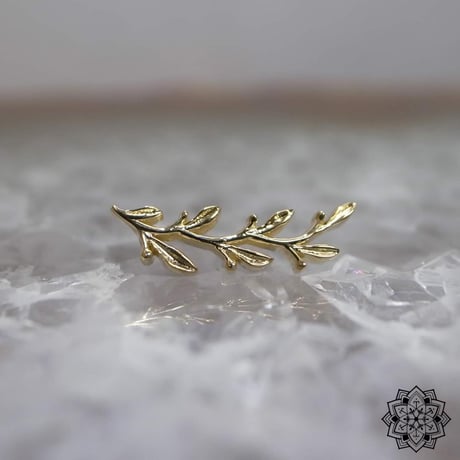 Amity(L)Large-18K(YG)