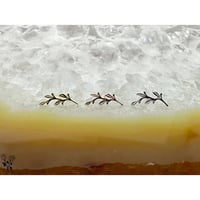 Tiny Amity-18K&14K