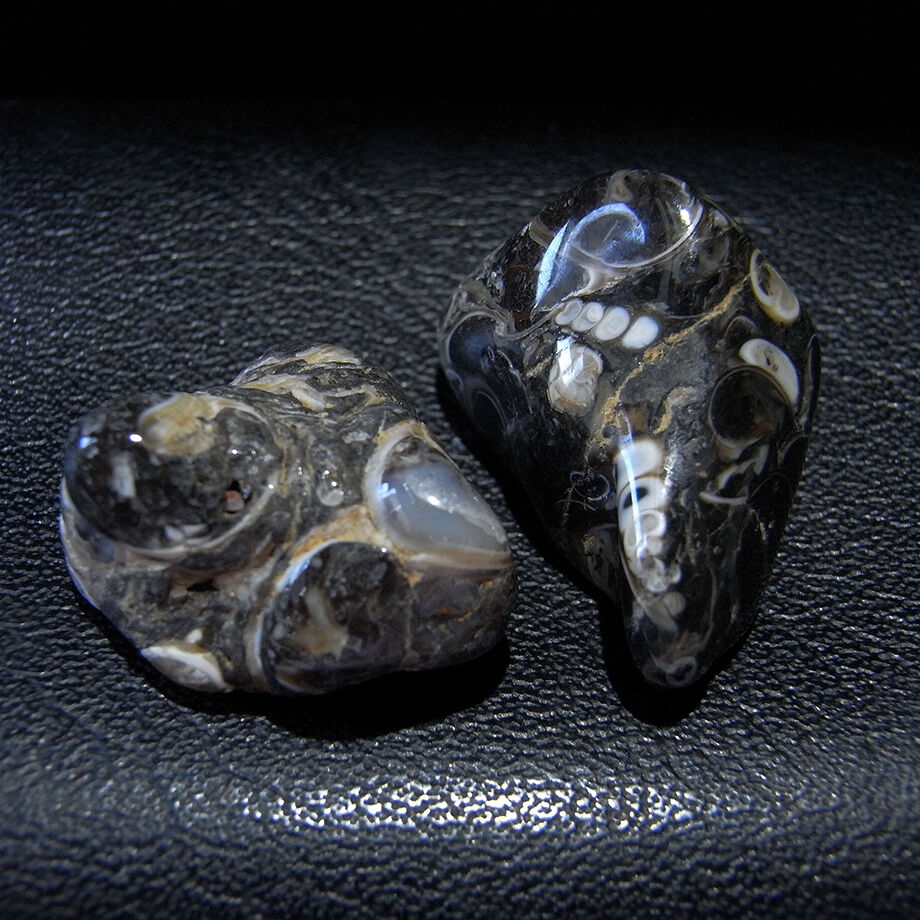 アメリカ・ワイオミング州産ツリテラアゲート2個セット8 | モダン屋