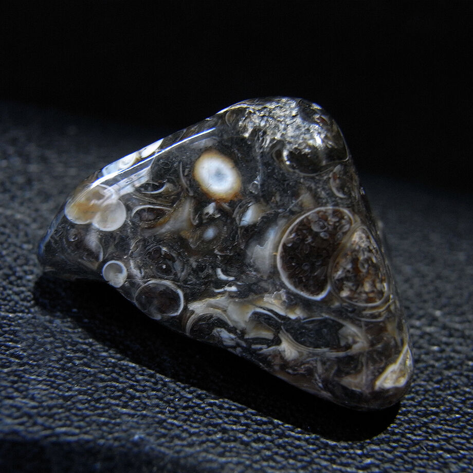 アメリカ・ワイオミング州産ツリテラアゲート2個セット8 | モダン屋