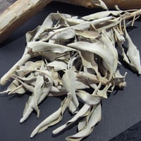 ホワイトセージ30g