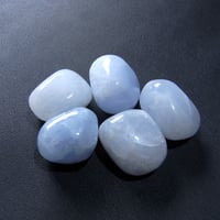 ブルーカルサイト5個セット8