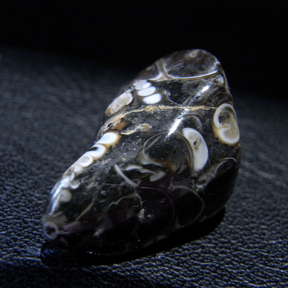 アメリカ・ワイオミング州産ツリテラアゲート2個セット8